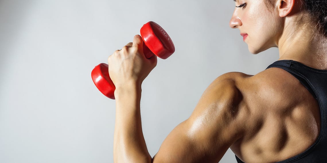 muscles