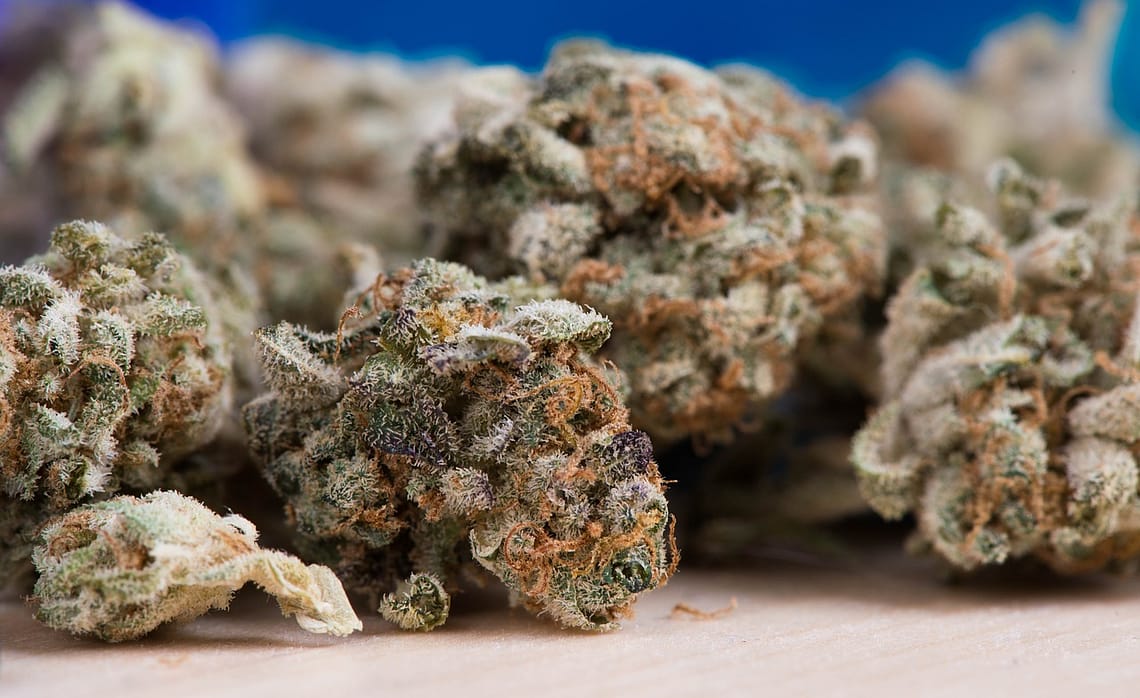 weeds