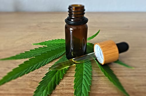 cbd oil